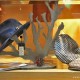 designatale-etn_art-3