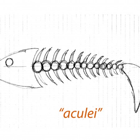 aculei3-etn_art-4