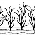 atollo-etn_art-4