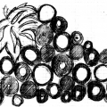 acini etn-art (1)
