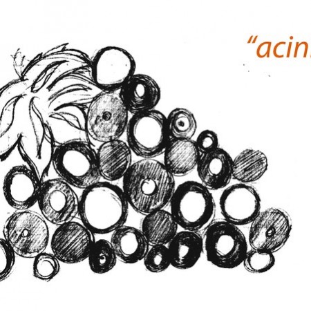 acini etn-art (5)