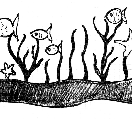 acquario etn-art (1)