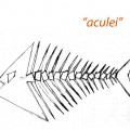 aculei a etn-art (1)