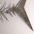 aculei a etn-art (3)
