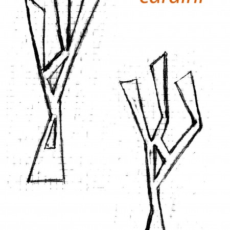 cardini-etn_art-5