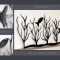 coralli