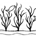 coralli-etn-art-1