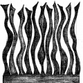 fiamme-etn-art-1
