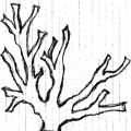 foresta-etn-art-1
