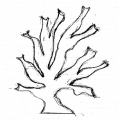 foresta-etn-art-2