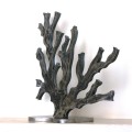 fronzoli-etn-art-9