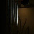 SONY DSC