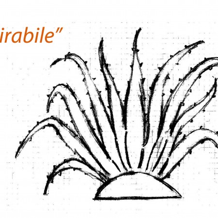 mirabile-etn_art-3