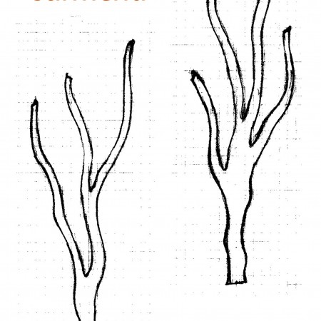 sarmenti-etn_art-3